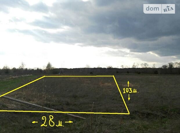 Земля под жилую застройку в селе Ясногородка, площадь 21 сотка фото 1 Земля под жилую застройку в селе Ясногородка, площадь 21 сотка фото 1