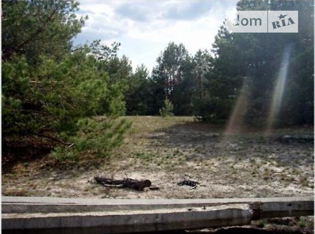 Земля под жилую застройку в селе Ясногородка, площадь 12 соток фото 2 Земля под жилую застройку в селе Ясногородка, площадь 12 соток фото 2