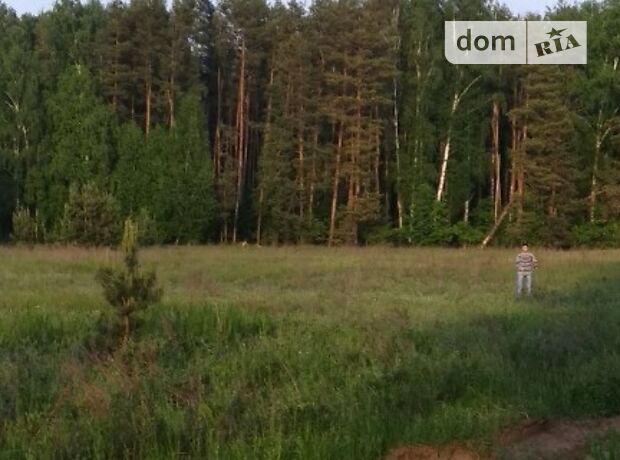 Земля под жилую застройку в селе Гавриловка, площадь 23 сотки фото 1 Земля под жилую застройку в селе Гавриловка, площадь 23 сотки фото 1