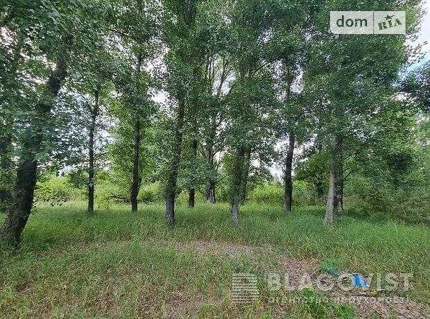 Земля под жилую застройку в селе Глебовка, площадь 480 соток фото 1 Земля под жилую застройку в селе Глебовка, площадь 480 соток фото 1