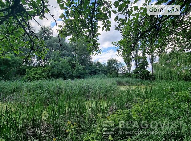 Земля под жилую застройку в селе Глебовка, площадь 480 соток фото 1 Земля под жилую застройку в селе Глебовка, площадь 480 соток фото 1