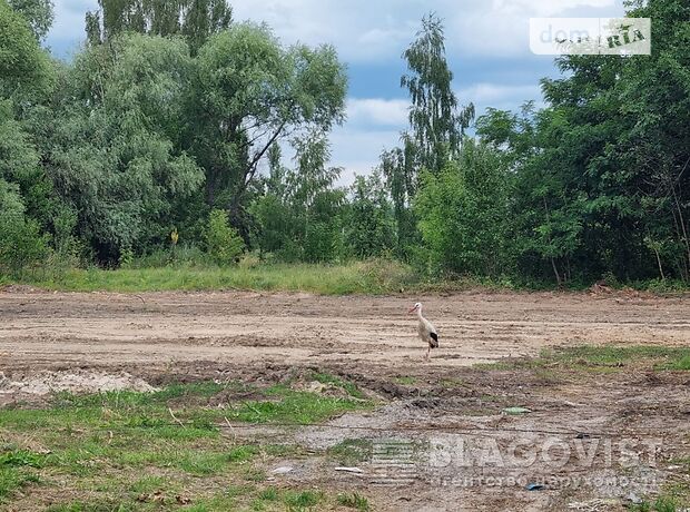 Земля под жилую застройку в селе Глебовка, площадь 480 соток фото 1 Земля под жилую застройку в селе Глебовка, площадь 480 соток фото 1