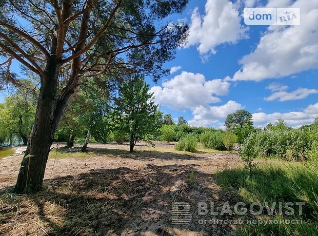 Земля под жилую застройку в селе Глебовка, площадь 480 соток фото 1 Земля под жилую застройку в селе Глебовка, площадь 480 соток фото 1