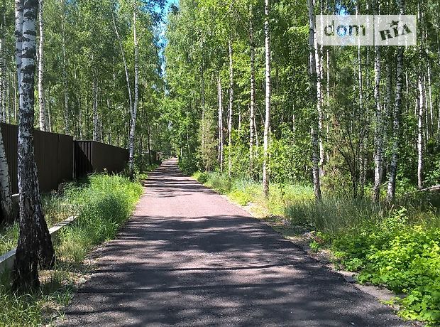 Земля под жилую застройку в селе Хотяновка, площадь 12 соток фото 1 Земля под жилую застройку в селе Хотяновка, площадь 12 соток фото 1