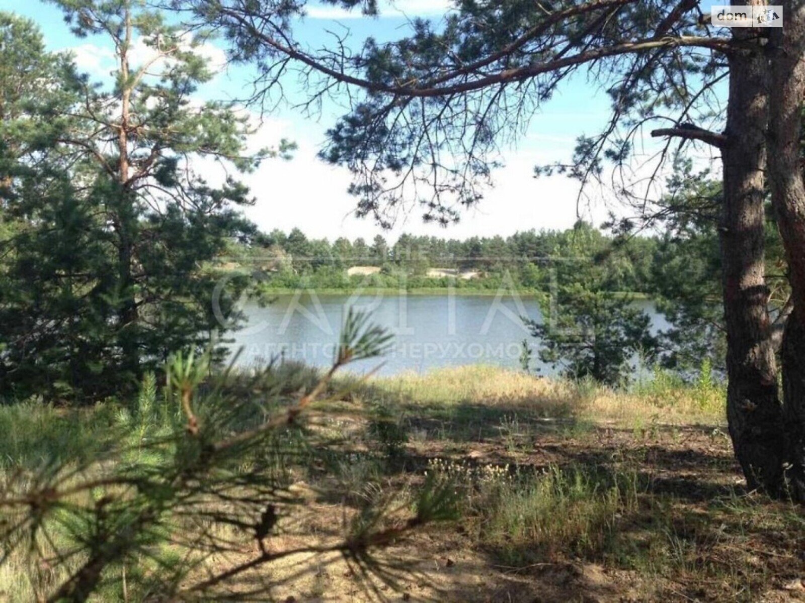 Земельна ділянка під житлову забудову в Лебедівці, площа 32 сотки фото 1 Земельна ділянка під житлову забудову в Лебедівці, площа 32 сотки фото 1
