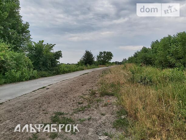 Земля под жилую застройку в селе Низшая Дубечня, площадь 10 соток фото 1 Земля под жилую застройку в селе Низшая Дубечня, площадь 10 соток фото 1