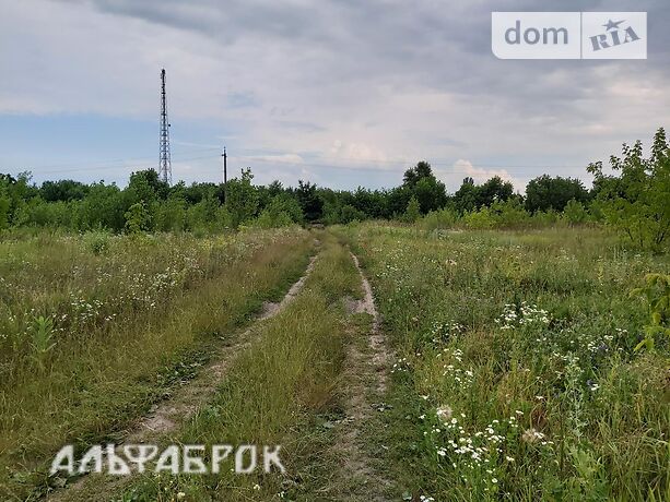 Земля под жилую застройку в селе Низшая Дубечня, площадь 10 соток фото 1 Земля под жилую застройку в селе Низшая Дубечня, площадь 10 соток фото 1