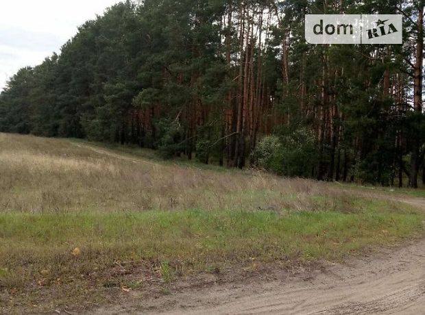 Земля под жилую застройку в Вышгороде, район Вышгород, площадь 12 соток фото 1 Земля под жилую застройку в Вышгороде, район Вышгород, площадь 12 соток фото 1