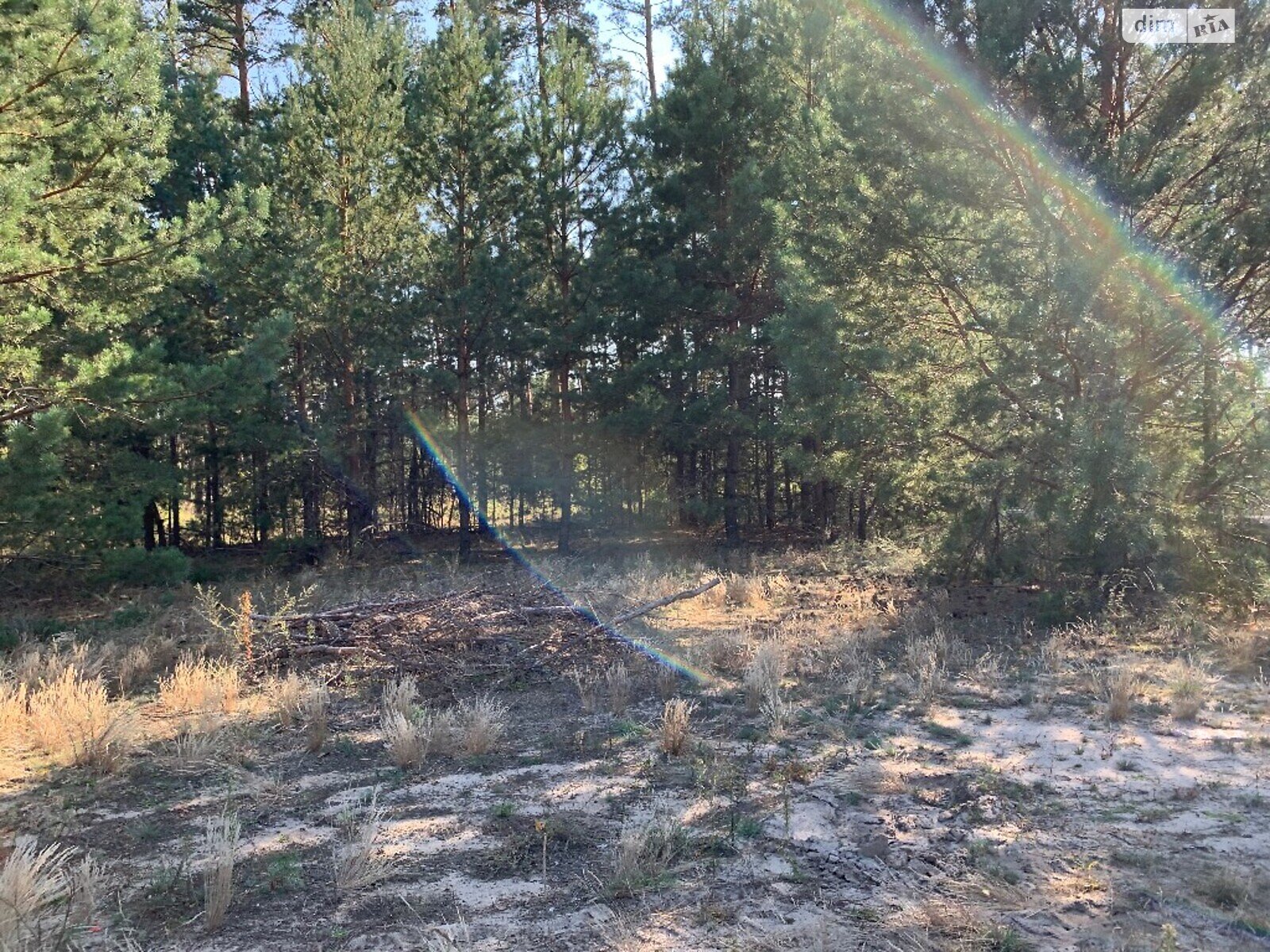 Земля під житлову забудову в Вишгороді, район Вишгород, площа 12 соток фото 1