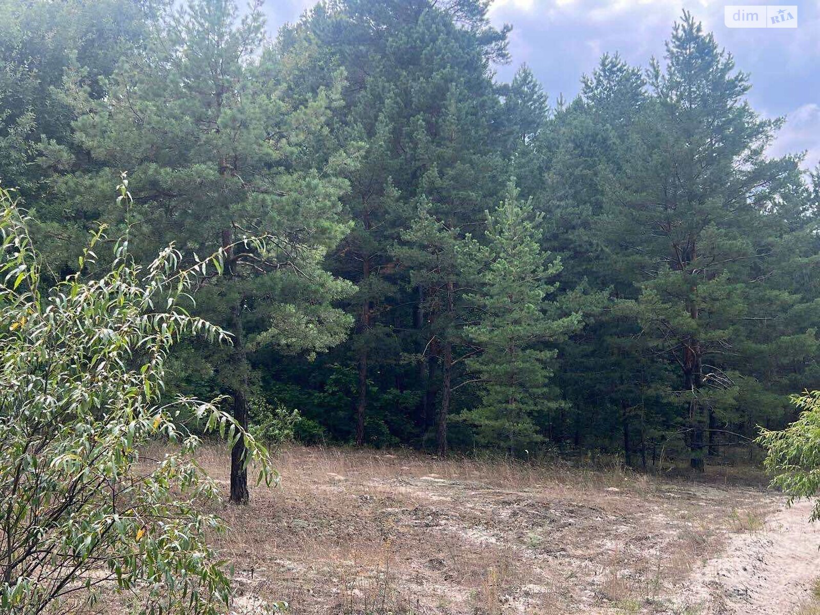 Земля под жилую застройку в Вышгороде, район Вышгород, площадь 0.0953 сотки фото 1 Земля под жилую застройку в Вышгороде, район Вышгород, площадь 0.0953 сотки фото 1