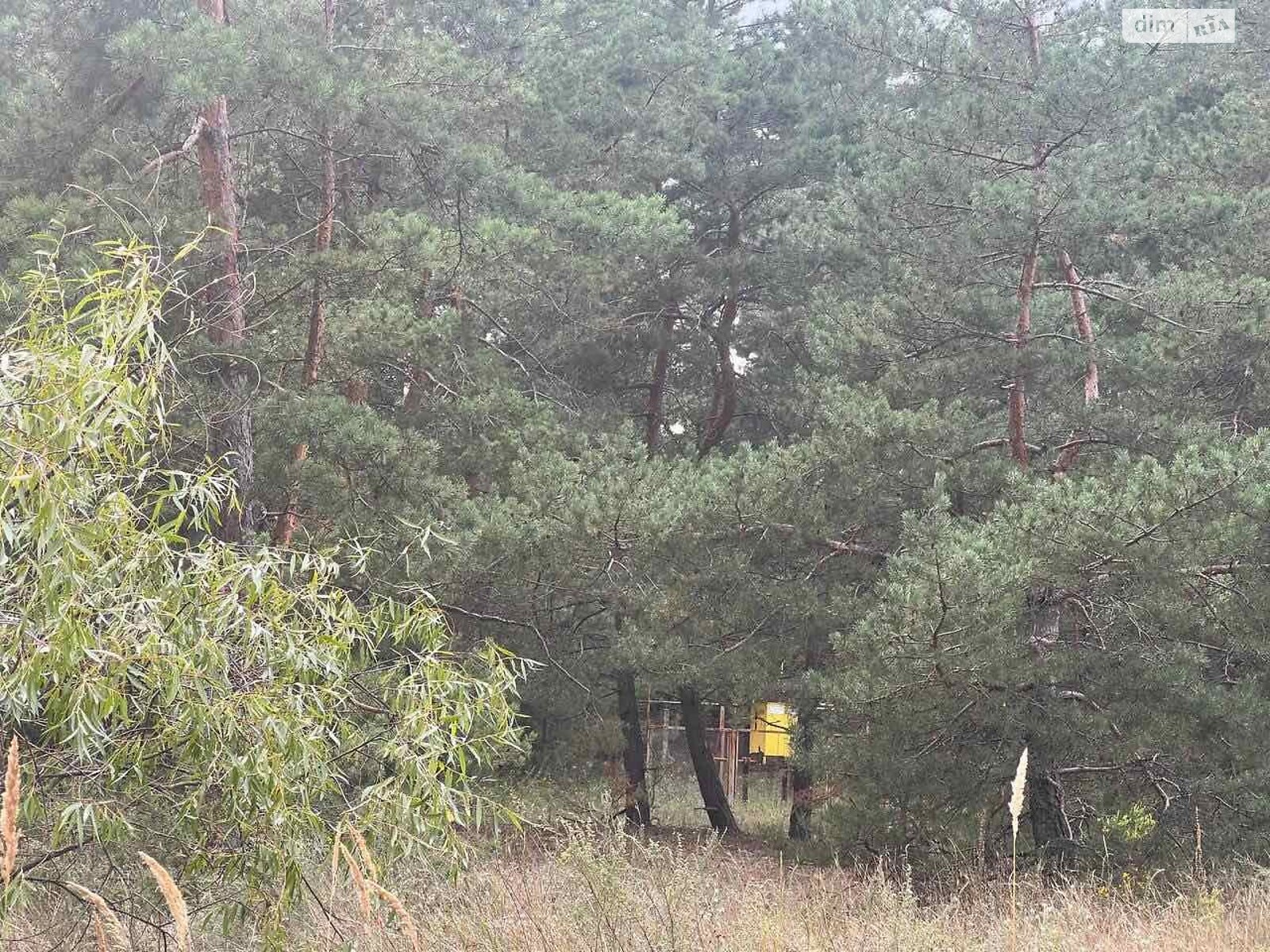 Земля под жилую застройку в Вышгороде, район Вышгород, площадь 0.0953 сотки фото 1 Земля под жилую застройку в Вышгороде, район Вышгород, площадь 0.0953 сотки фото 1