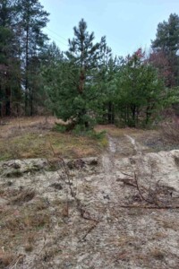 Земельна ділянка під житлову забудову в Вишгороді, площа 10 соток фото 2