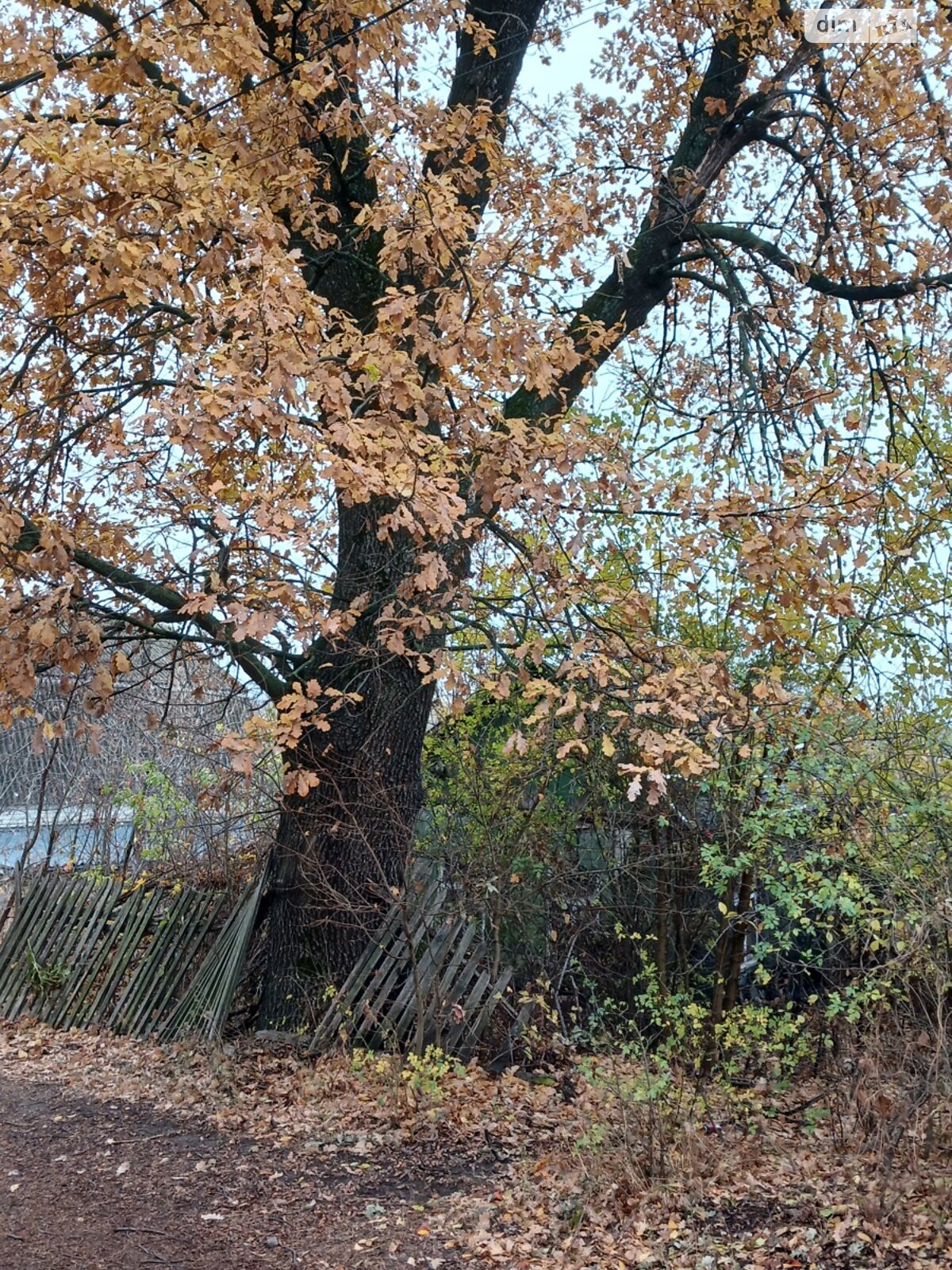 Земельный участок под жилую застройку в Высоком, площадь 12 соток фото 1