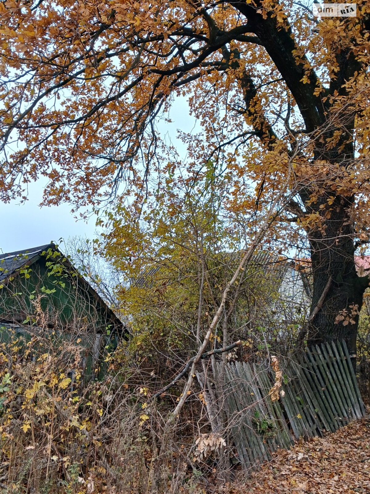 Земельный участок под жилую застройку в Высоком, площадь 12 соток фото 1