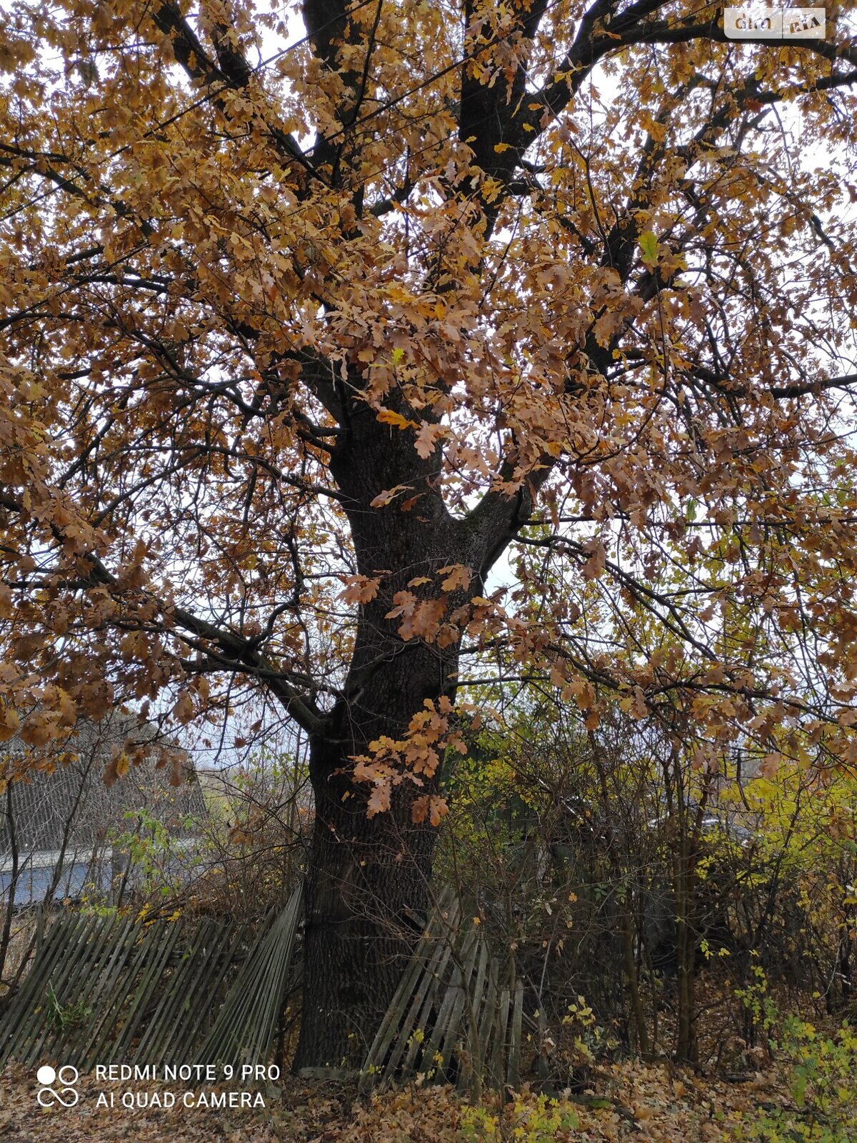 Земельный участок под жилую застройку в Высоком, площадь 12 соток фото 1