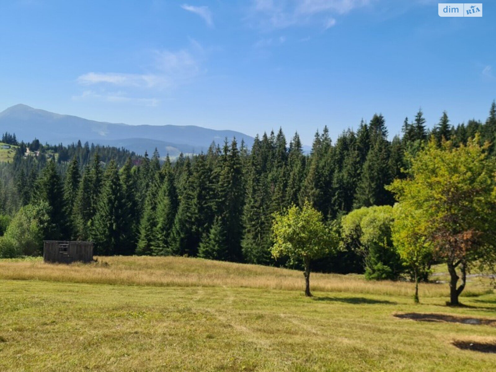 Земельна ділянка під житлову забудову в Яблуниці, площа 21 сотка фото 1