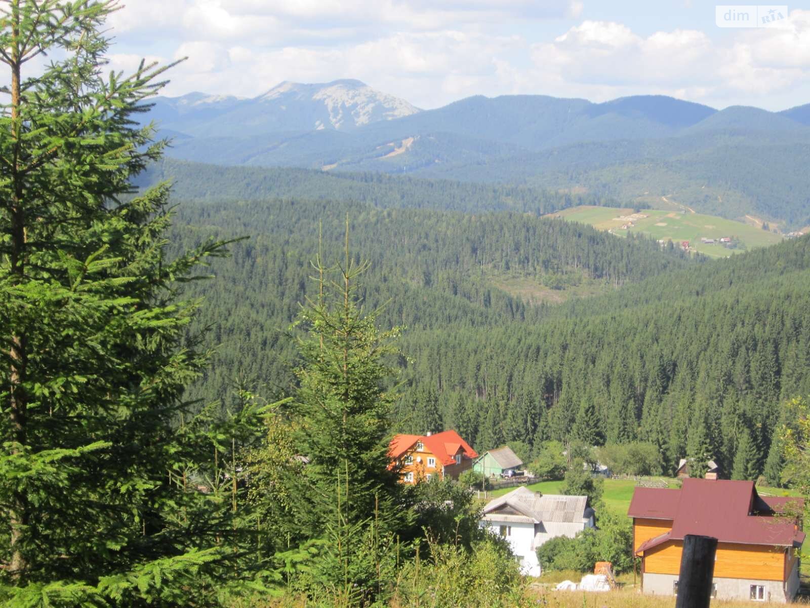 Земельна ділянка під житлову забудову в Яблуниці, площа 2 Га фото 1