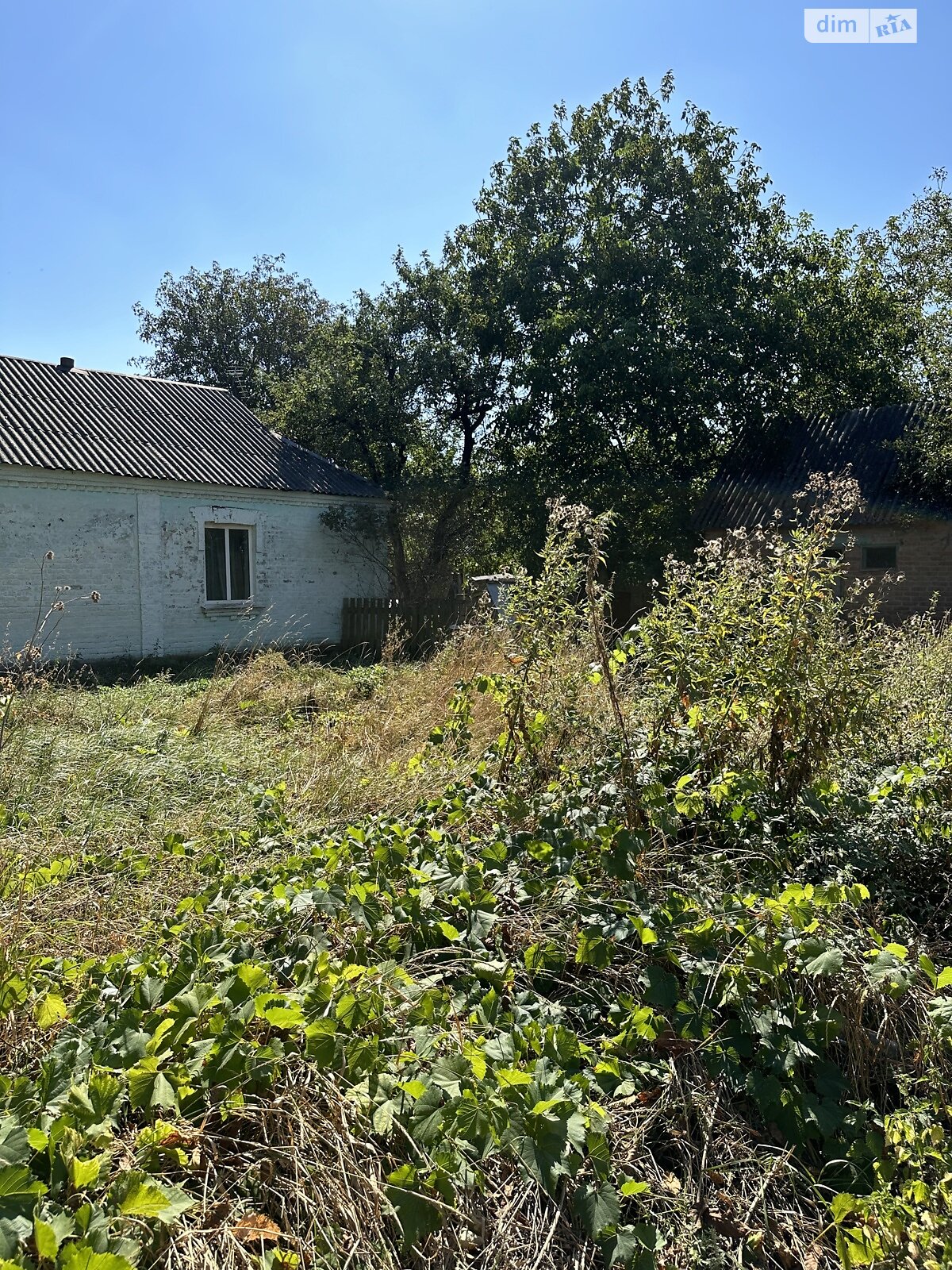 Земельна ділянка під житлову забудову в Якушинцях, площа 35 соток фото 1 Земельна ділянка під житлову забудову в Якушинцях, площа 35 соток фото 1