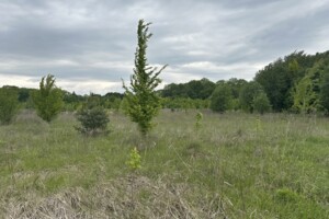 Земельна ділянка під житлову забудову в Якушинцях, площа 20 соток фото 2