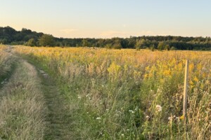 Земельна ділянка під житлову забудову в Якушинцях, площа 20 соток фото 2 Земельна ділянка під житлову забудову в Якушинцях, площа 20 соток фото 2