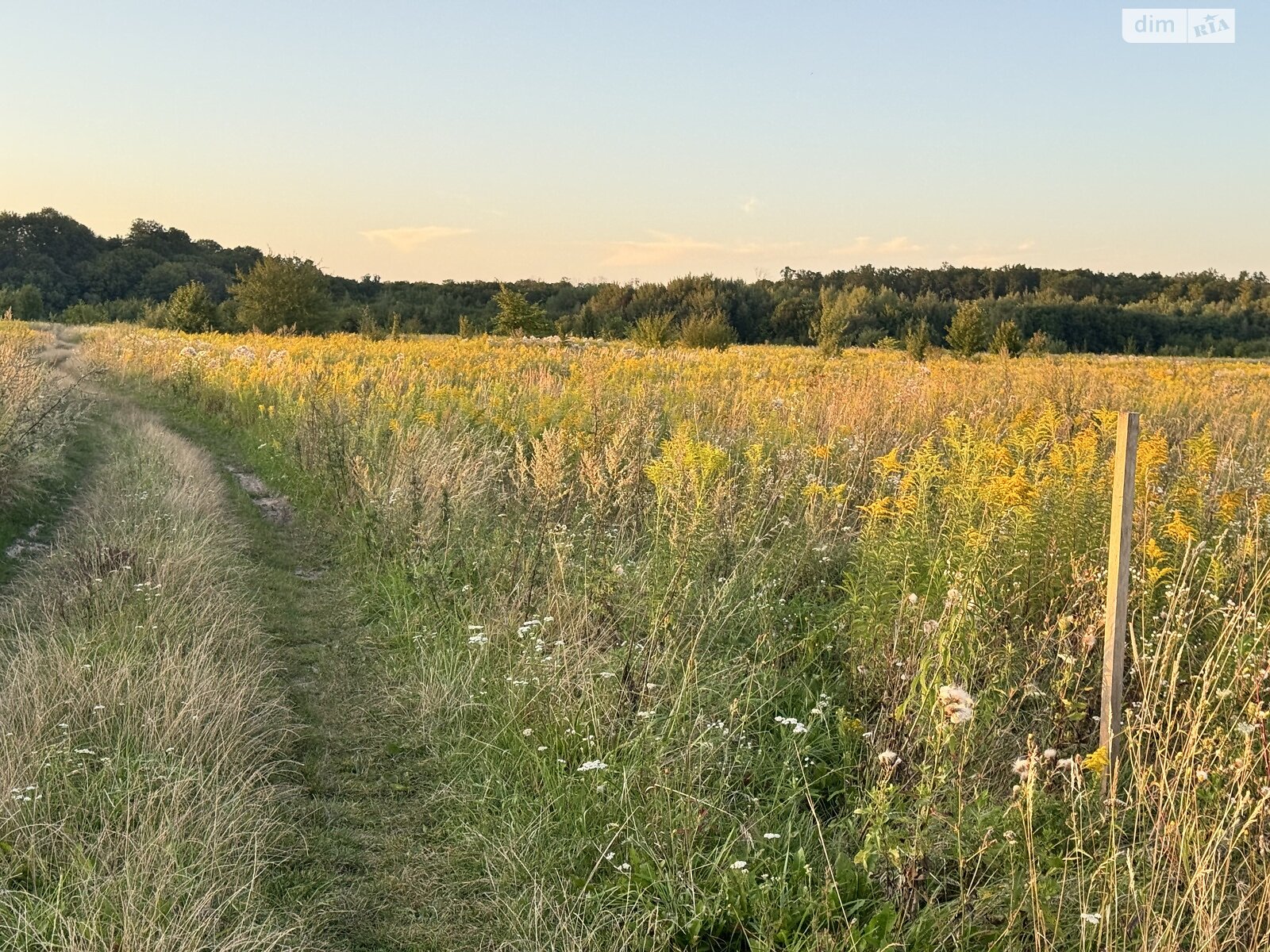 Земельна ділянка під житлову забудову в Якушинцях, площа 20 соток фото 1 Земельна ділянка під житлову забудову в Якушинцях, площа 20 соток фото 1