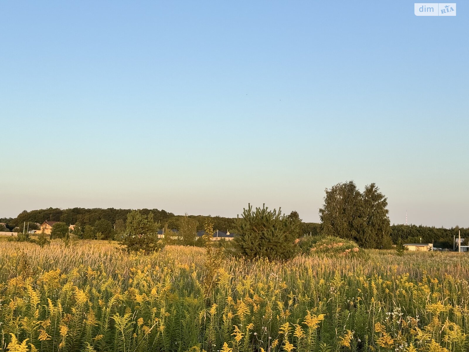 Земельна ділянка під житлову забудову в Якушинцях, площа 20 соток фото 1 Земельна ділянка під житлову забудову в Якушинцях, площа 20 соток фото 1