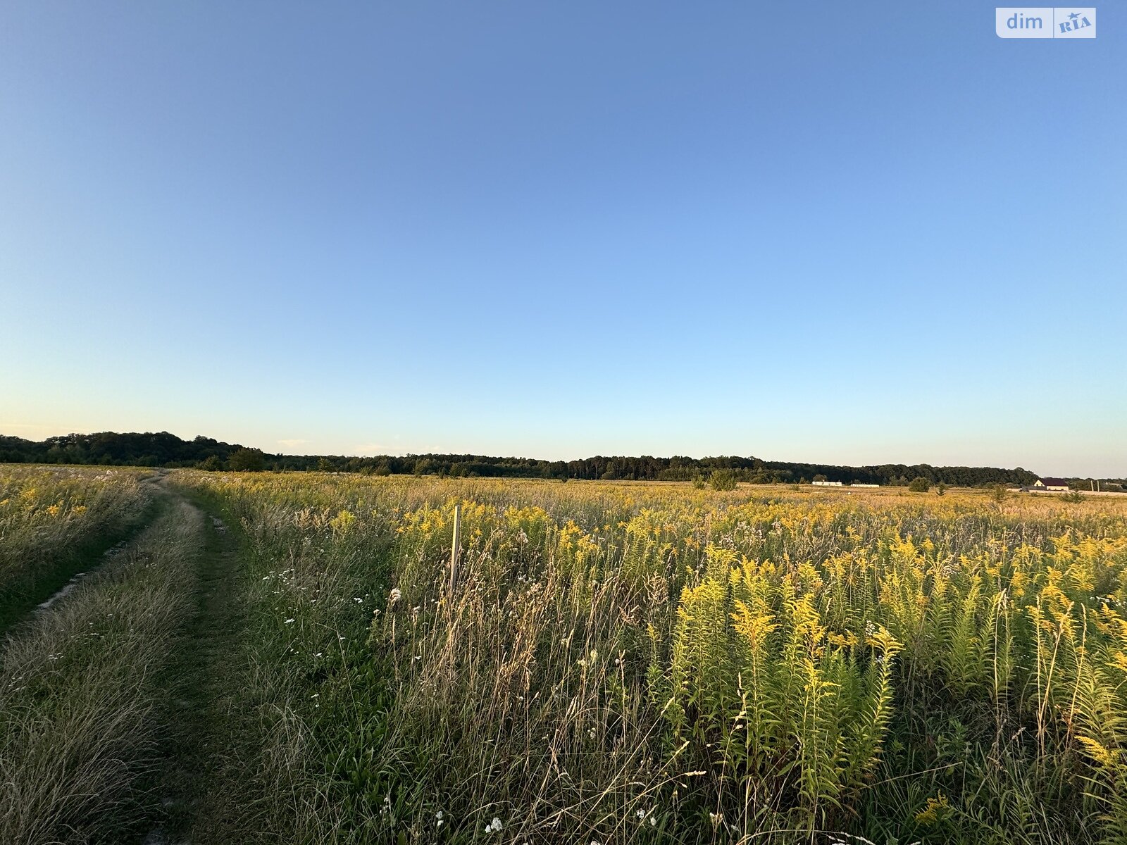 Земельна ділянка під житлову забудову в Якушинцях, площа 20 соток фото 1 Земельна ділянка під житлову забудову в Якушинцях, площа 20 соток фото 1
