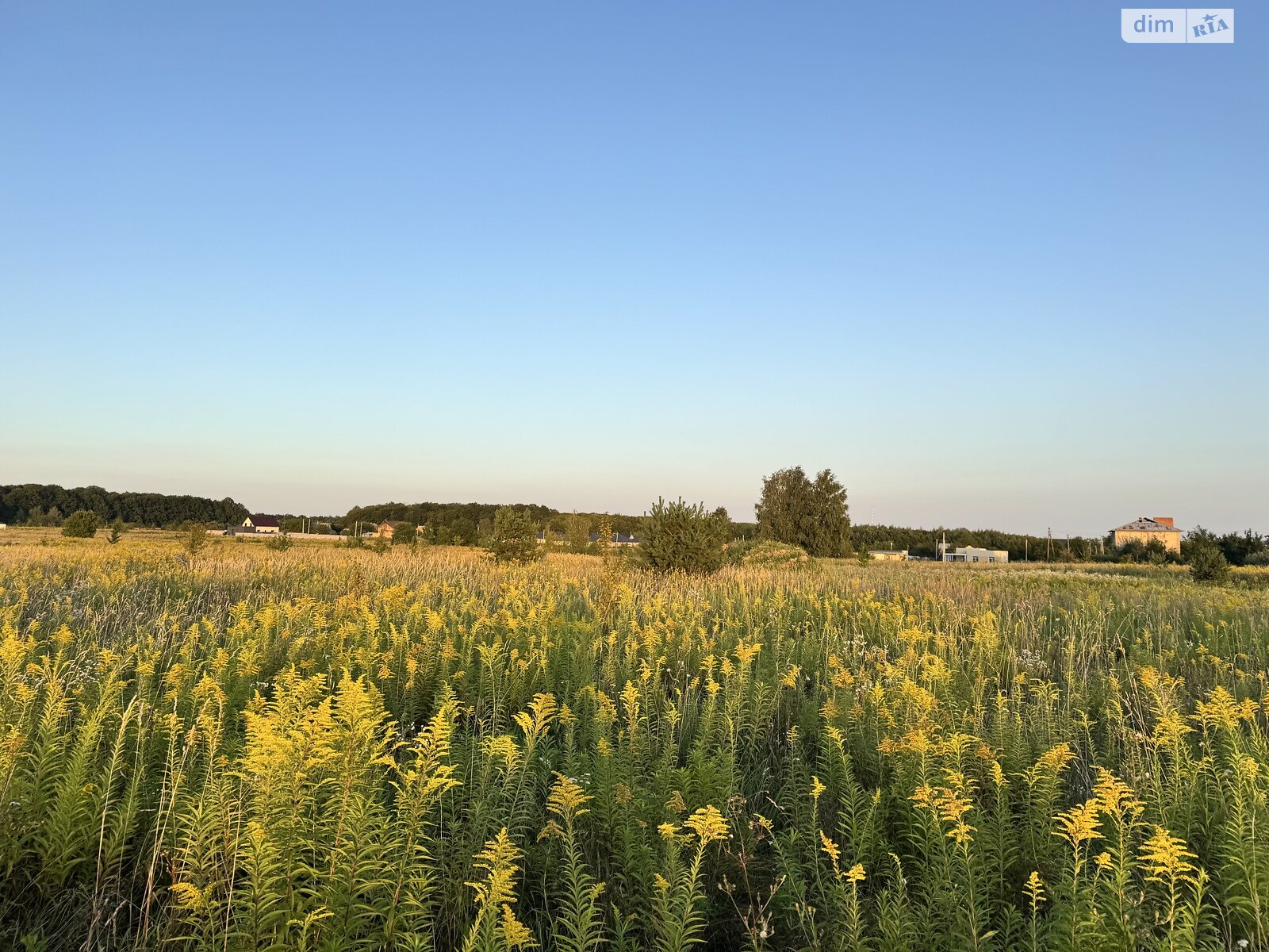 Земельна ділянка під житлову забудову в Якушинцях, площа 20 соток фото 1 Земельна ділянка під житлову забудову в Якушинцях, площа 20 соток фото 1