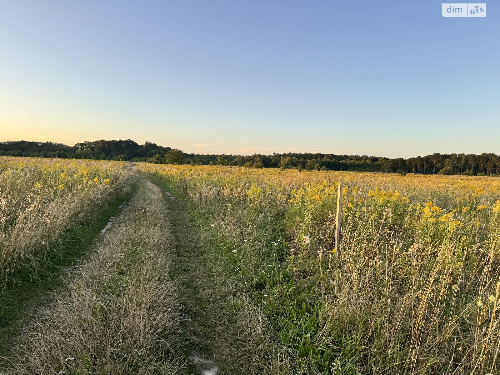 Земельна ділянка під житлову забудову в Якушинцях, площа 20 соток фото 1 Земельна ділянка під житлову забудову в Якушинцях, площа 20 соток фото 1