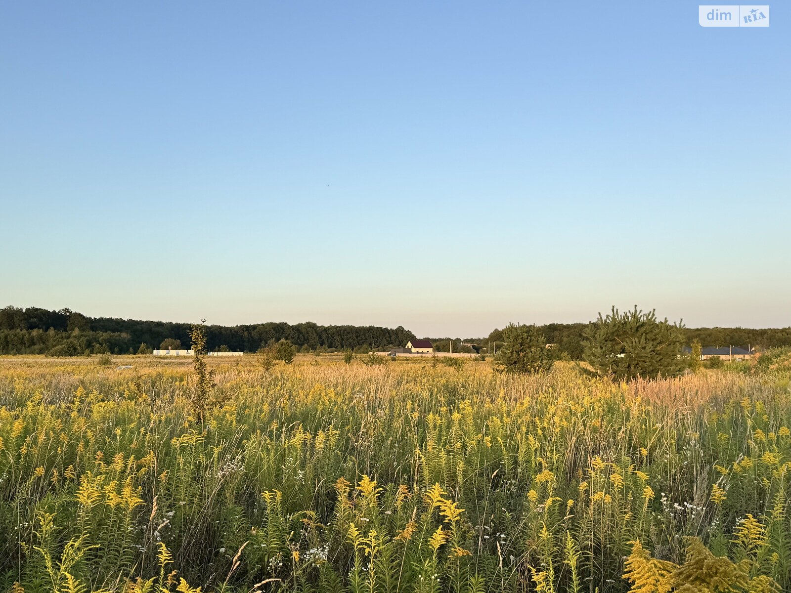 Земельна ділянка під житлову забудову в Якушинцях, площа 20 соток фото 1 Земельна ділянка під житлову забудову в Якушинцях, площа 20 соток фото 1