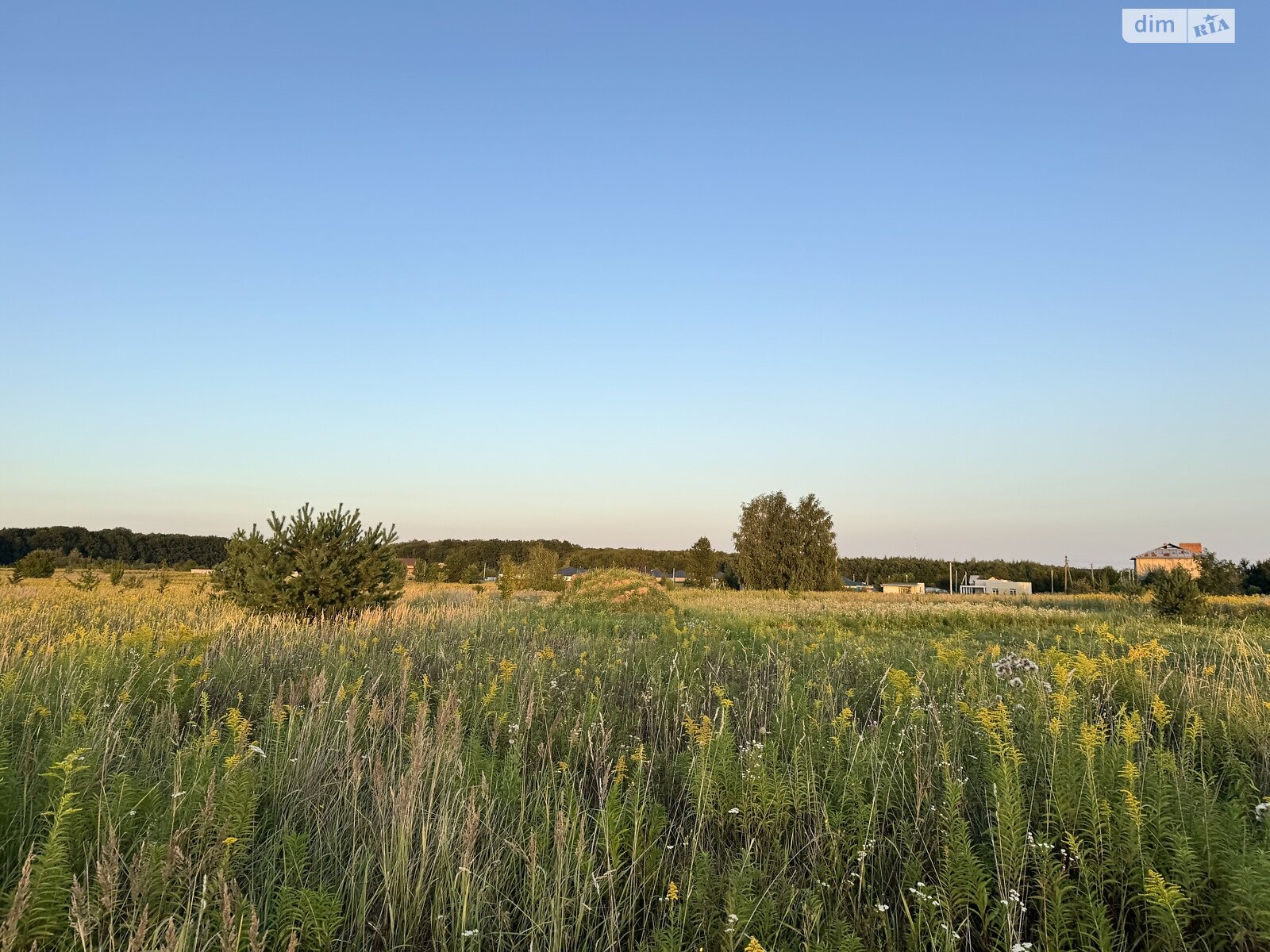 Земельна ділянка під житлову забудову в Якушинцях, площа 20 соток фото 1 Земельна ділянка під житлову забудову в Якушинцях, площа 20 соток фото 1