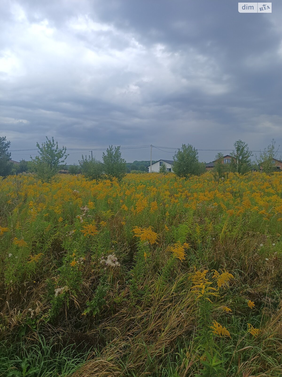 Земельна ділянка під житлову забудову в Якушинцях, площа 15 соток фото 1