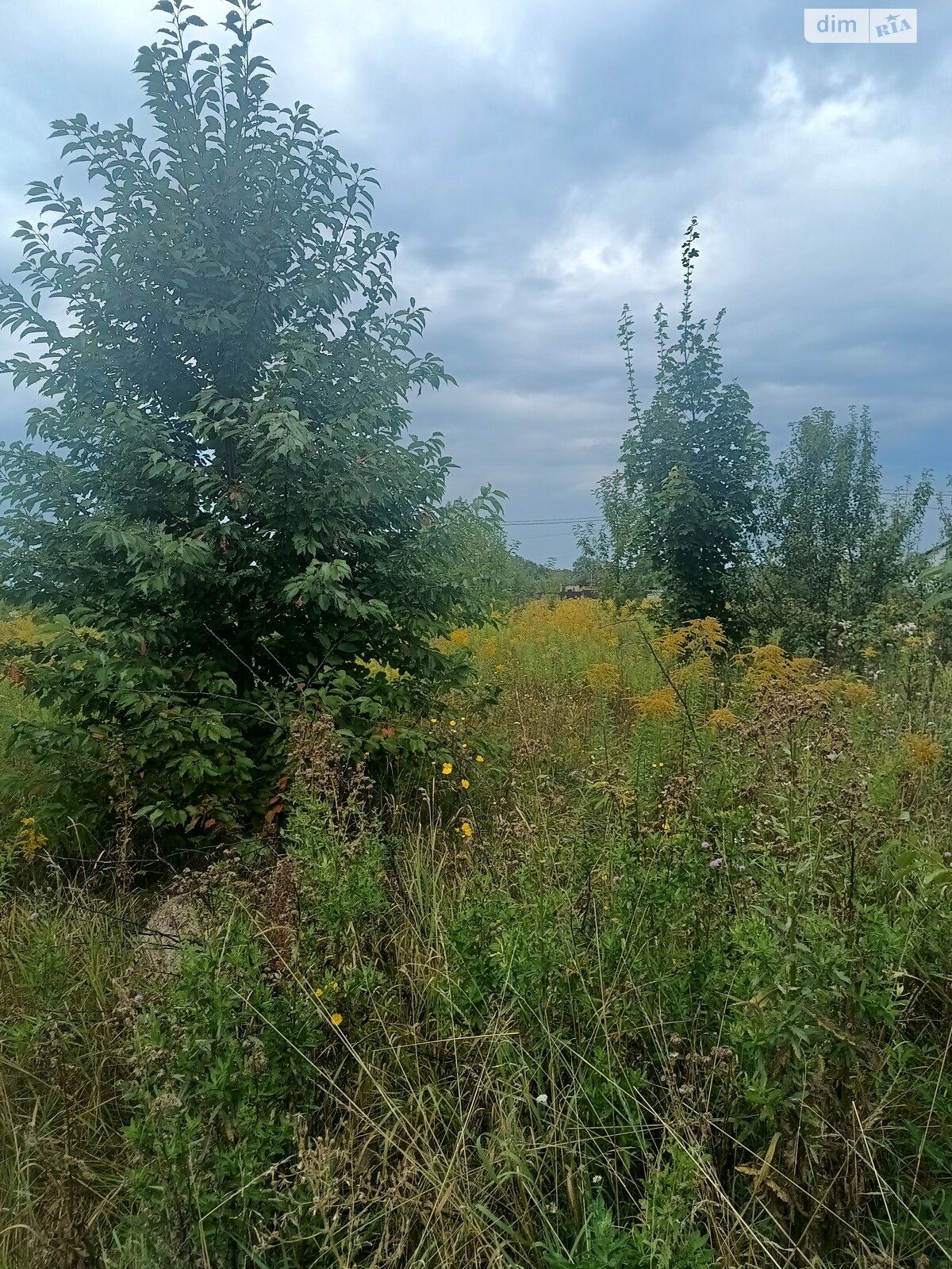Земельна ділянка під житлову забудову в Якушинцях, площа 15 соток фото 1