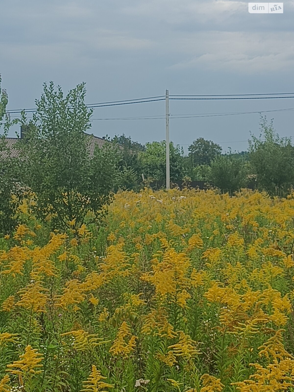 Земельна ділянка під житлову забудову в Якушинцях, площа 15 соток фото 1