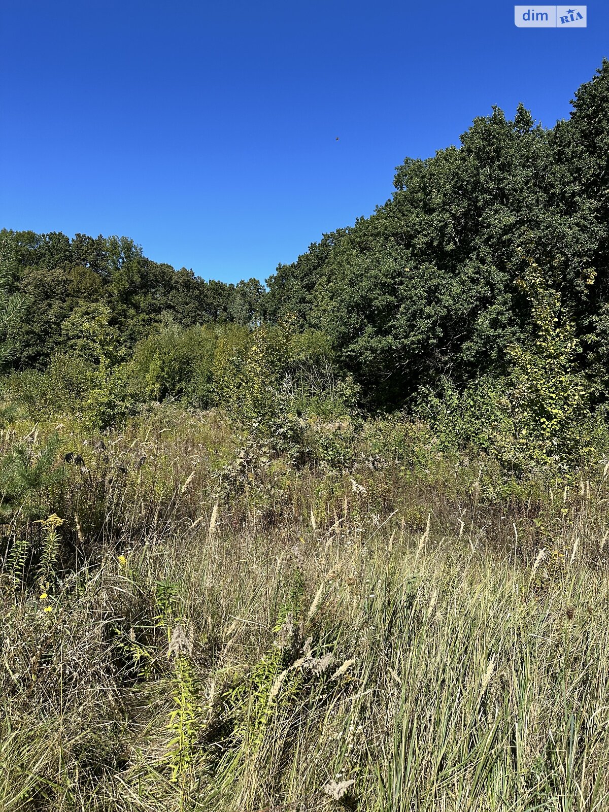 Земельна ділянка під житлову забудову в Якушинцях, площа 15.36 сотки фото 1 Земельна ділянка під житлову забудову в Якушинцях, площа 15.36 сотки фото 1