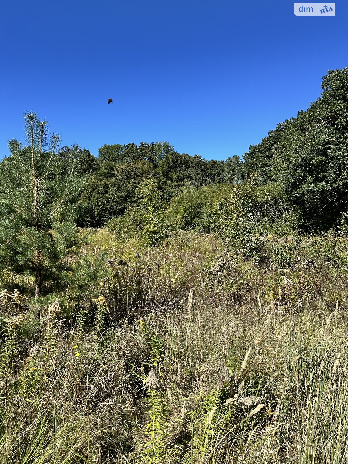 Земельна ділянка під житлову забудову в Якушинцях, площа 15.36 сотки фото 1 Земельна ділянка під житлову забудову в Якушинцях, площа 15.36 сотки фото 1