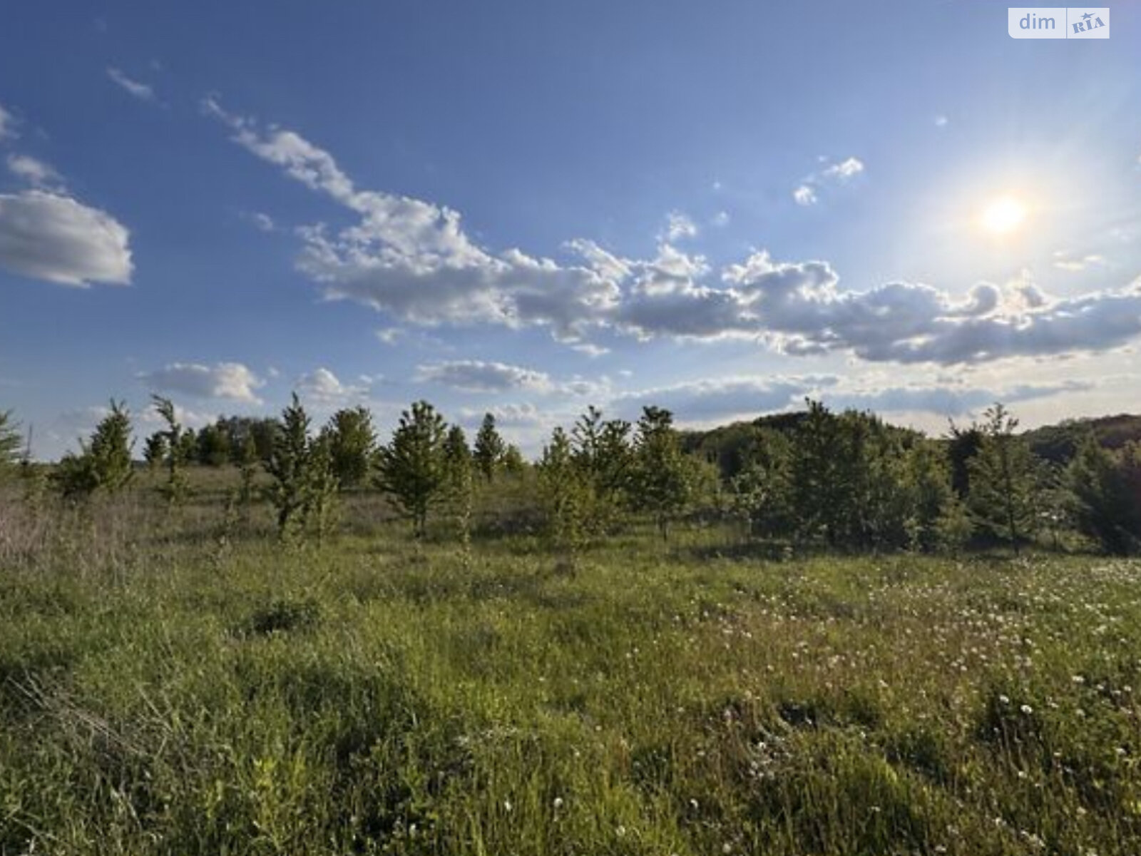Земельна ділянка під житлову забудову в Якушинцях, площа 20 соток фото 1 Земельна ділянка під житлову забудову в Якушинцях, площа 20 соток фото 1