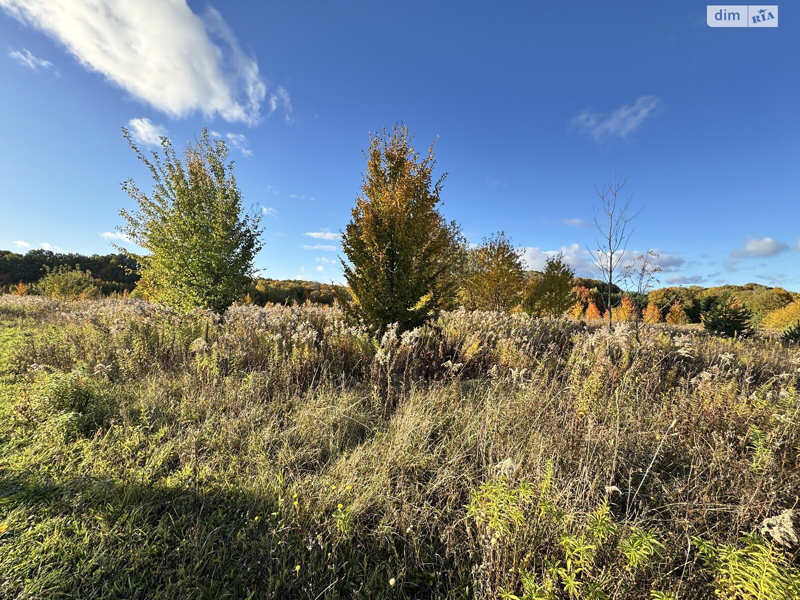 Земельна ділянка під житлову забудову в Якушинцях, площа 10 соток фото 1