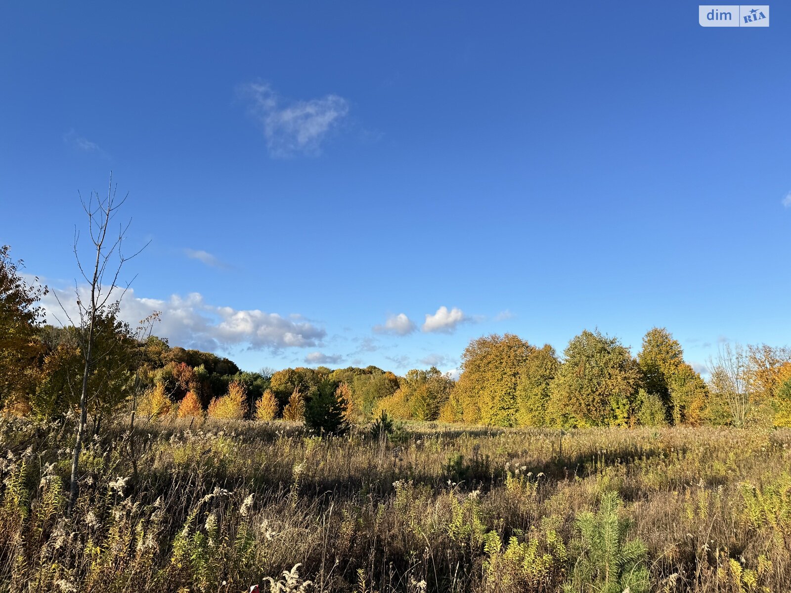 Земельна ділянка під житлову забудову в Якушинцях, площа 10 соток фото 1