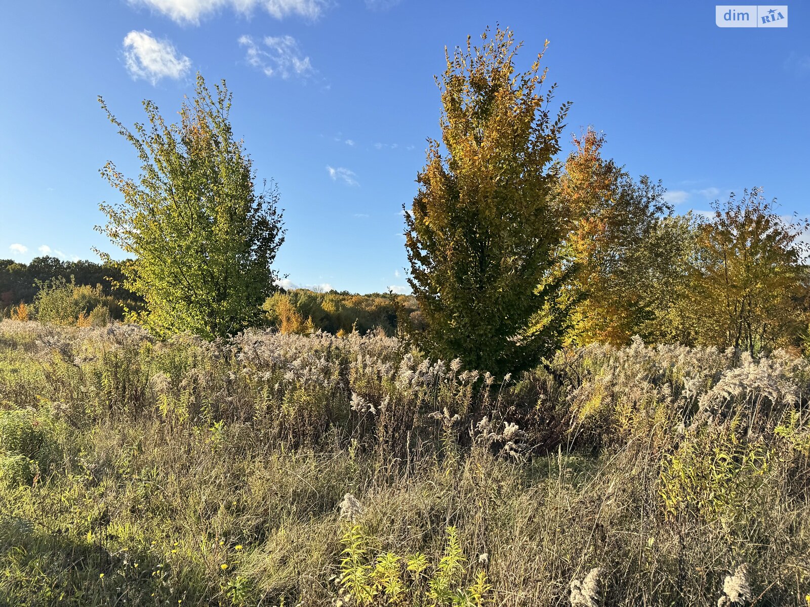 Земельна ділянка під житлову забудову в Якушинцях, площа 10 соток фото 1