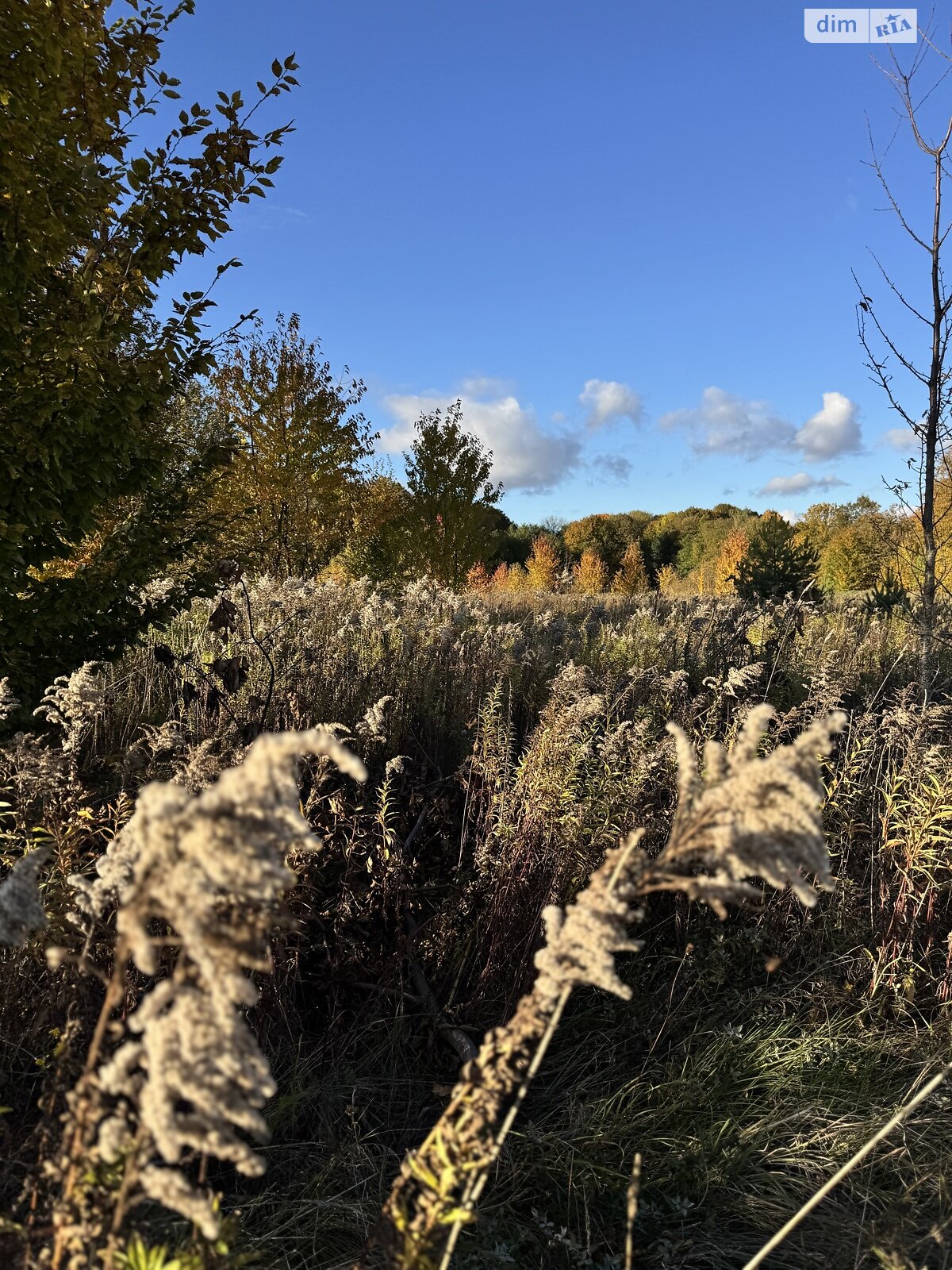 Земельна ділянка під житлову забудову в Якушинцях, площа 10 соток фото 1