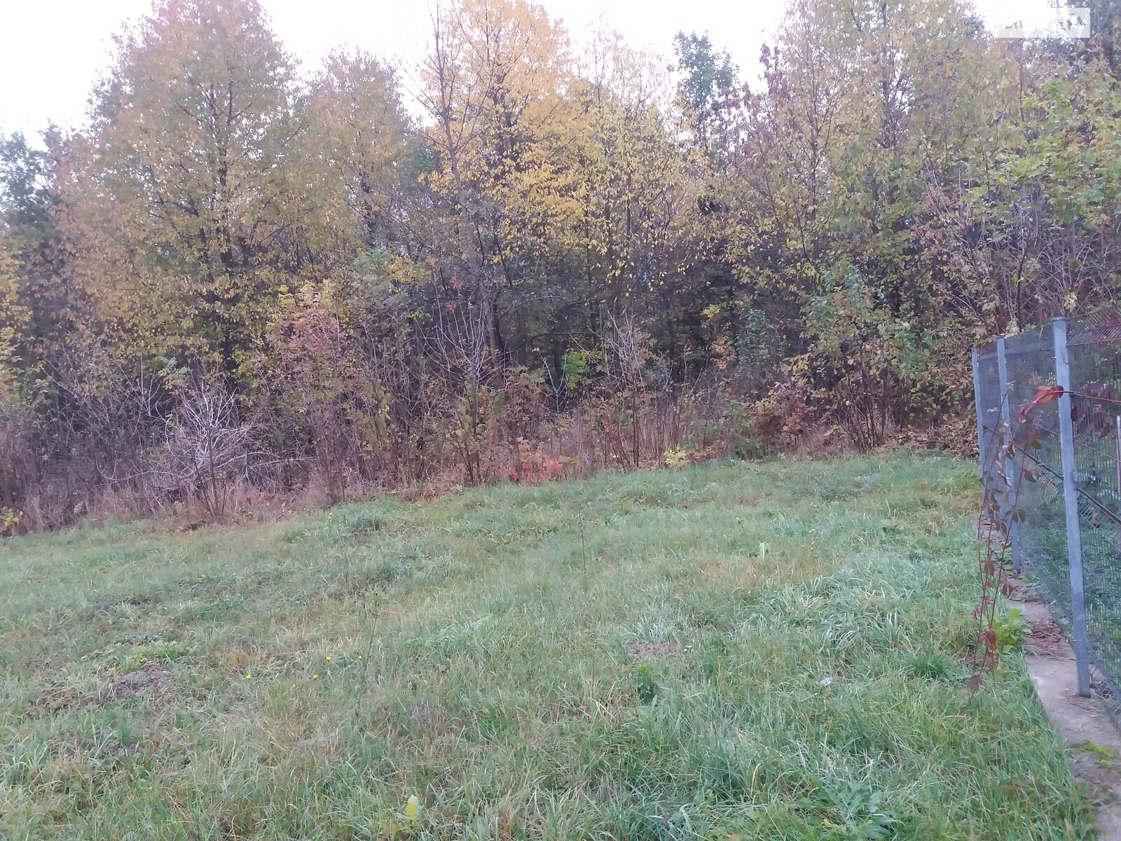 Земельна ділянка під житлову забудову в Якушинцях, площа 12 соток фото 1