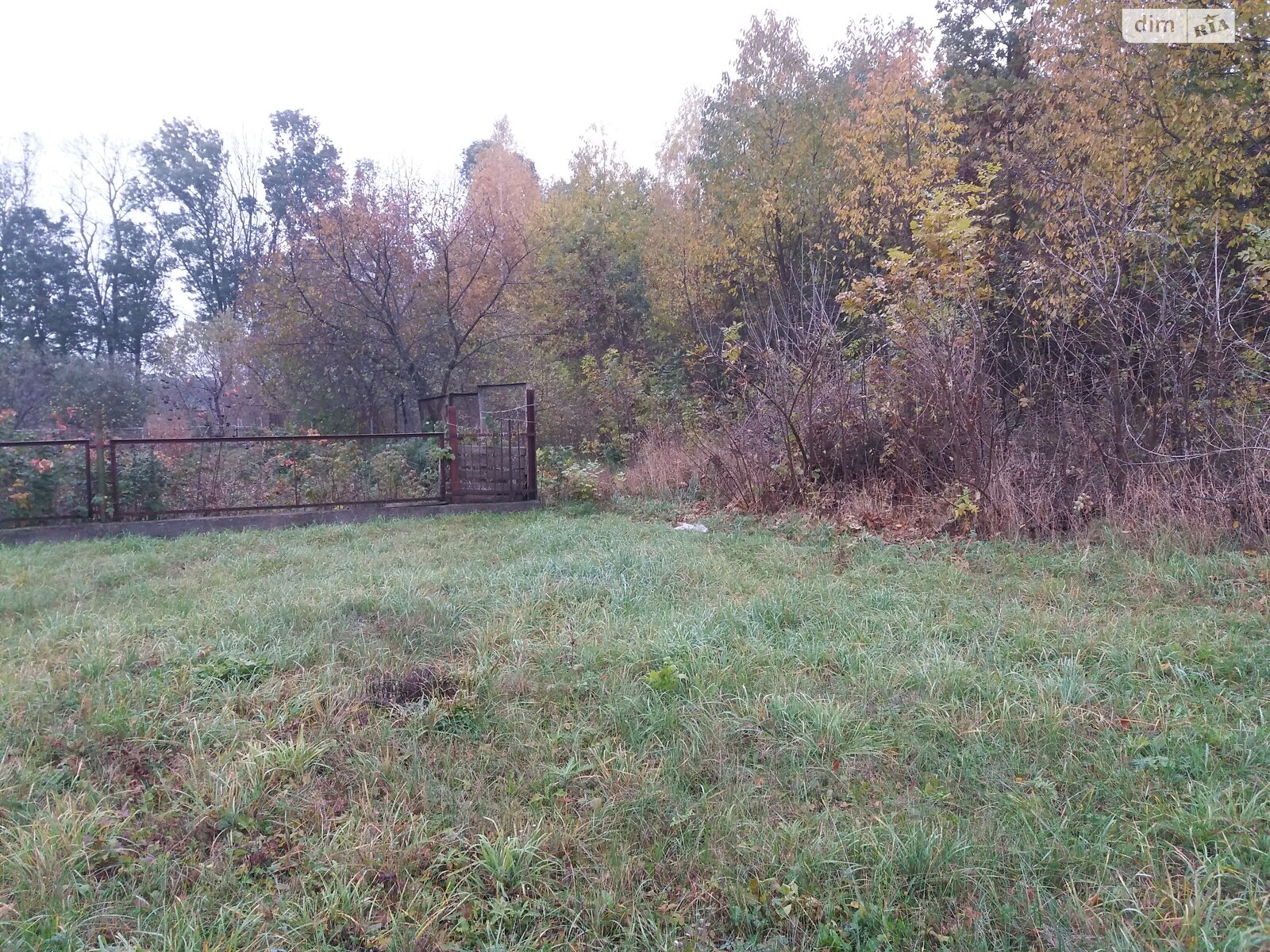 Земельна ділянка під житлову забудову в Якушинцях, площа 12 соток фото 1