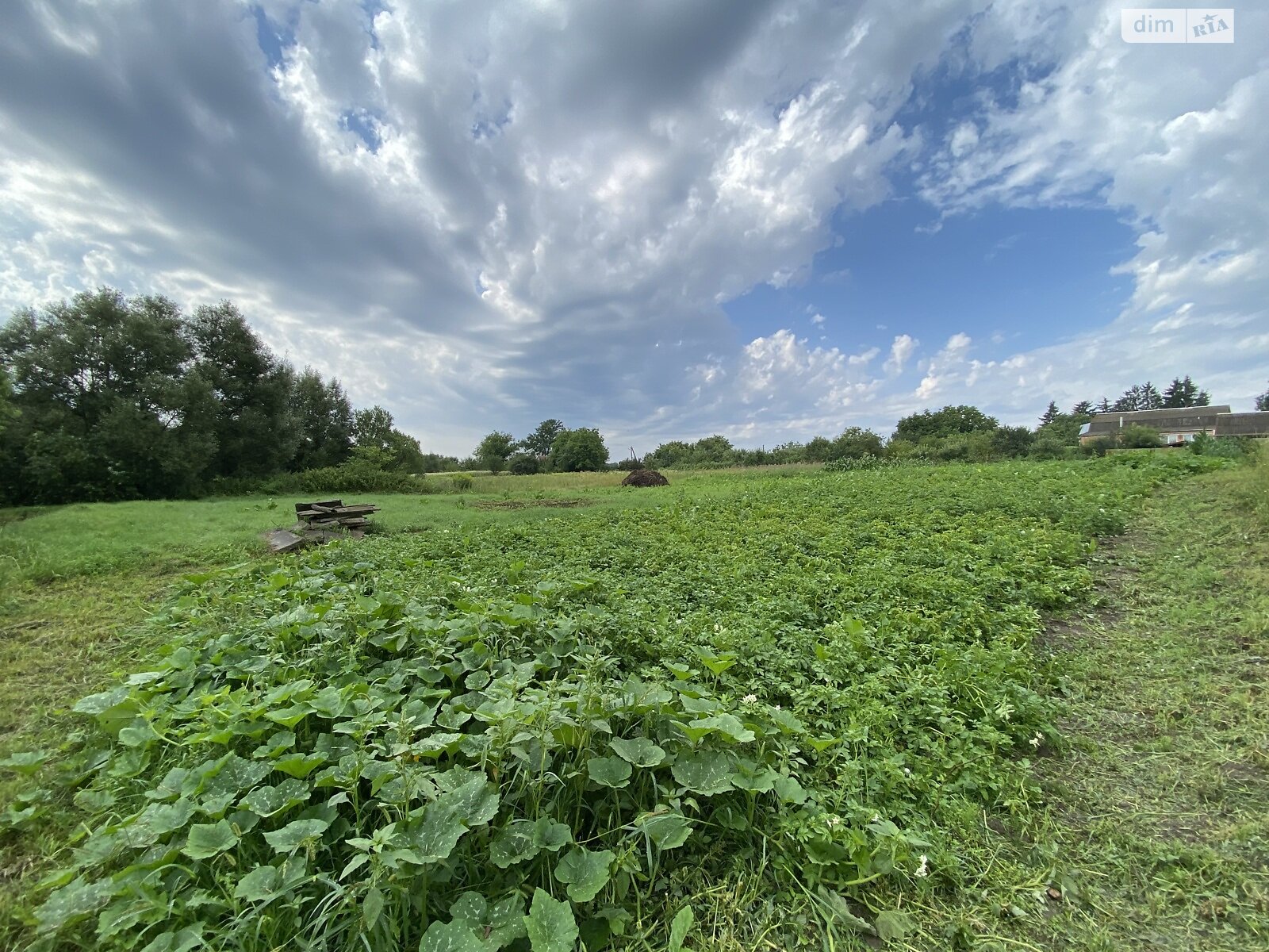 Земельна ділянка під житлову забудову в Якушинцях, площа 9.4 сотки фото 1
