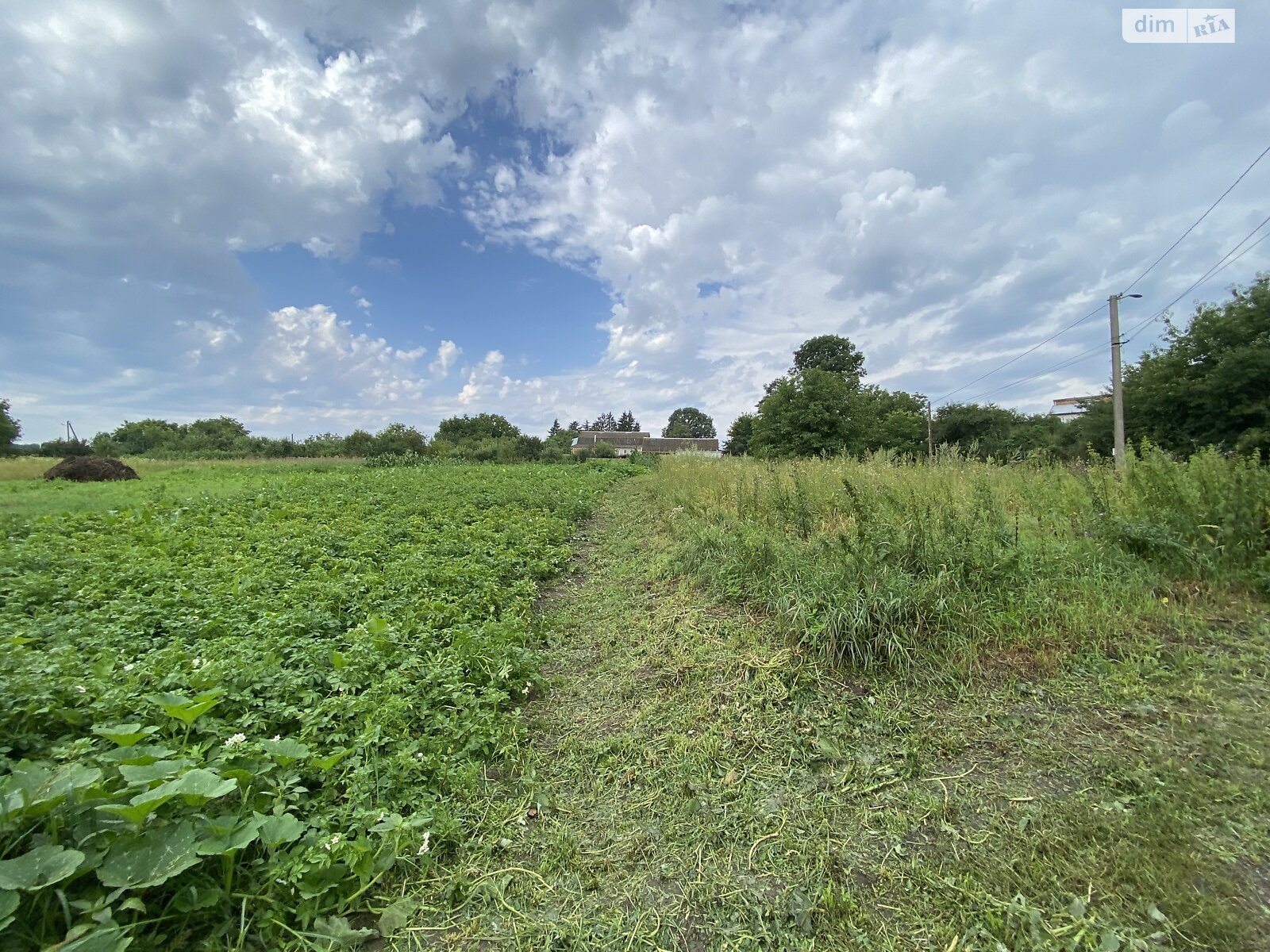 Земельна ділянка під житлову забудову в Якушинцях, площа 9.4 сотки фото 1