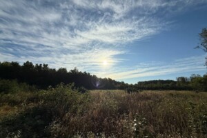 Земельный участок под жилую застройку в Якушинцах, площадь 30 соток фото 2