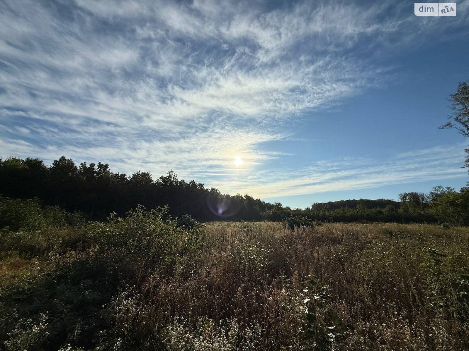 Земельный участок под жилую застройку в Якушинцах, площадь 30 соток фото 1