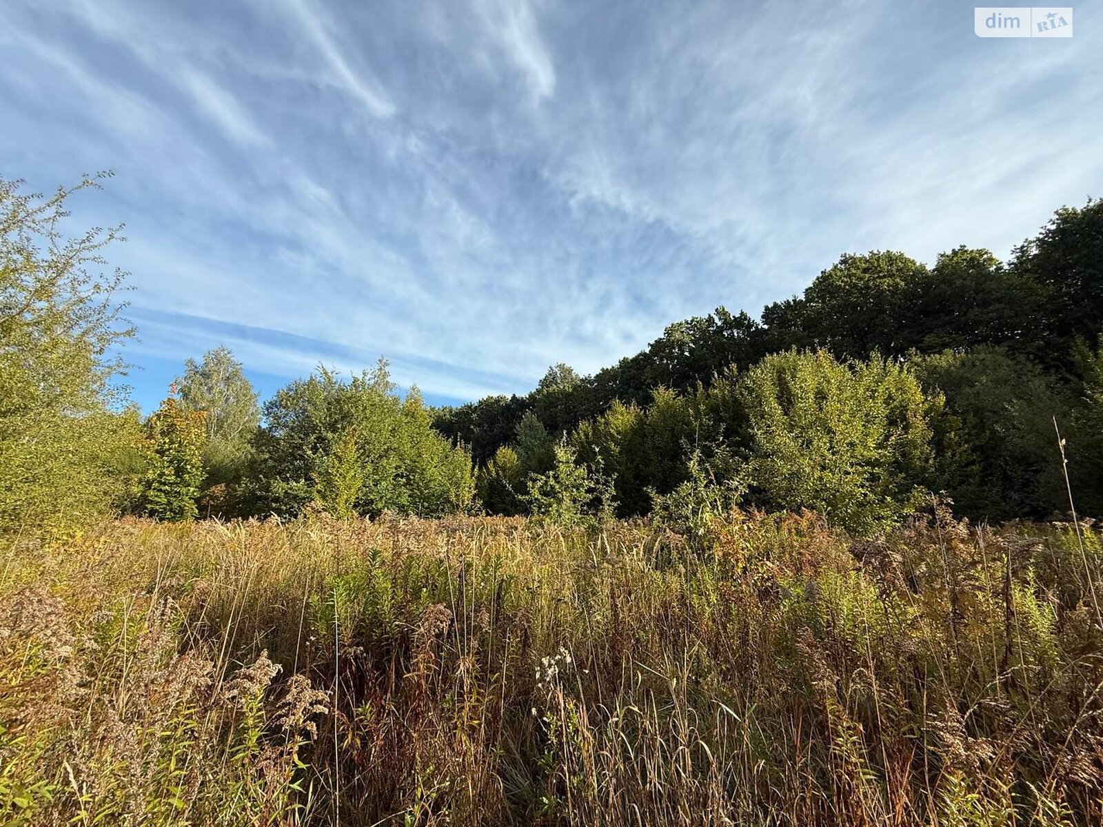 Земельный участок под жилую застройку в Якушинцах, площадь 30 соток фото 1