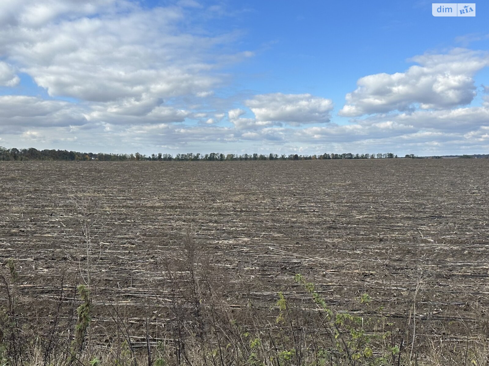 Земельный участок под жилую застройку в Якушинцах, площадь 1.9224 Га фото 1