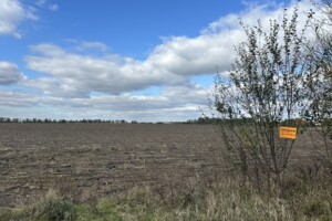 Земельный участок под жилую застройку в Якушинцах, площадь 1.9224 Га фото 2